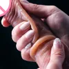 Giocattolo del sesso Massaggiatore Scorrevole Prepuzio Dildo Ventosa Strap on Dildo per donne e uomini Realistico pene in silicone Masturbatore femminile Giocattoli