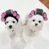 Abbigliamento per cani Cappello per animali domestici Adorabile copricapo leggero per feste travestite Design con nastro di chiusura morbido Articoli per feste per cani e gatti