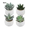 Flores decorativas 4 pçs conjunto suculentas vaso planta interior ilha gramada para alívio do estresse e tranquilidade greene purificador de ar fácil cuidado