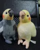 豪華な人形ミニサイズリアルな灰色のコカチエルぬいぐるみおもちゃ現実の柔らかい黄色のオウム鳥ぬい動物おもちゃ人形230927
