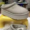 مصمم أحذية تسمان النعال تشيسوت فرو الشرائح من جلد الغنم shearling tazz البغال النساء الرجال mini mini منصة الثلج الحذاء slip-on