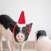 Costumi per gatti Cappello per animali domestici Sciarpa natalizia per piccoli costumi per feste Accessori Decorazioni natalizie