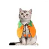 Cat Costumes Adjustable Halloween Pet Pumpkin Cloak Plush Soft Double-sided Orange Dog Cape Festival