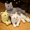 Plush Dolls INS Lifelike Real Prone Cat Plush Doll Stuffed Pure Colors Grey White Yellow Kitten Toy Pets Animal Kids Gift 230927