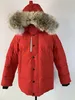 Piumino da uomo Parka canadese Cappotto invernale Panno impermeabile Uomo Pelliccia di lupo Giacca Wyndham Con cappuccio Fourrure Capispalla Pellicce di procione Cappotti caldi Doudoune