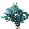 Natural Preserved Eucalyptus Leaves Bouquet Immortal Dried Flower For For Wedding Decor Display Flower Home Decoration204a