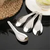 Spoons 5X Thai Stainless Steel Kitchen Tableware Rice Soup Silver Flatware KitchenTools