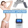 Spaceless Lipolysis Lumewave Master Fat Loss Cellulite Removal Vertical Microwave RF Body Shape Fat Dissolver Slimming Machine Professional