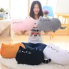 Plush Dolls 25-50cm Kawaii Cat Pillow with Zipper and PP Cotton Biscuits Plush Cat Animal Doll Kids Child Baby Peluche Gift Pushin Toy 230927