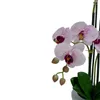 Fiori Decorativi E Pianta Di Orchidea Artificiale Bianca In Un Vaso