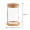 Vase 2 PCS Glass Table Eco Bottle Office Country Decorations Terrarium Vase Holder Hydroponics Container for Plant