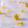 Flores decorativas 120pcs prensado com flores seca de florpinia decapetatala herbário resina epóxi joias de joalheria