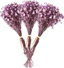 Dekorativa blommor naturliga torkade buketter färska bevarade små bukett torrpress hem bröllopsdekor