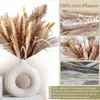 Декоративные цветы 70 шт. пампасы натуральный сушеный букет пампа трава Phragmites Boho домашний декор свадебный Trockenblumen