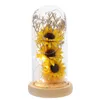 Dekorativa blommor Vitroleros Para mini Sunflower LED -lampkupol Bukett Lätt dekoration Plastkvinna