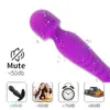 Sexspielzeug-Massagegerät, Heizungsvibrator, ist für Vaginalfrau, Dildo, Penis, stiller Klitoris-Stimulator, Spielzeug für Erwachsene, Klitoris-Vibro-Masturbator