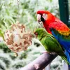 Other Bird Supplies Parrot Foraging Feeder Toys Wood Chewing Wooden Cage Bite Accessories For Medium Conures