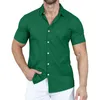 Camicie casual da uomo Top Camicia da ufficio da uomo elegante Abbigliamento T-shirt estiva in poliestere Colorfast Top Vita quotidiana