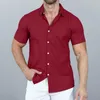 Camicie casual da uomo Top Camicia da ufficio da uomo elegante Abbigliamento T-shirt estiva in poliestere Colorfast Top Vita quotidiana