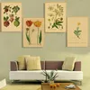 Paintings Botanical Illustration Poster Plant Leaf Flower Kraft Paper Posters Vintage Home Room Bar Cafe Decor Aesthetic Art Wall Painting 230928