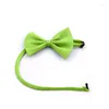 Hundkläder Pet Cat Bow Knot Halsband Söt rolig justerbar bowtie -rem Collar Dogs Accessories Tie Puppy Supplies