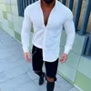 Men's Casual Shirts 2023 Solid Color Shirt European & American Clothing Long Sleeve Lapel Single-breasted Buttons Cotton Mens