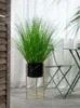 Decorative Flowers Bionic Green Plant Fake Trees Reed Grass Simulation Indoor Floor Bonsai Ornament Decoration