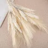 Decorative Flowers Faux Pampas Grass Decor No Watering Boho Wedding Fluffy Bouquet Rustic Farmhouse Floral