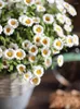 الزهور الزخرفية على الطراز الرعوي الاصطناعي جميل ديزي طاولة الطعام المزيفة ديكور المنزل