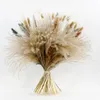 Decorative Flowers 45cm Pampas Grass Dried Natural Home Decoration Country Wedding Supplies Table Decorations Articles Of Bar And Homemade