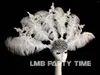 Scen Wear Custom High-End Lace White Feather Bar Party Catwalk Pography Props huvudbonad