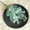 Decorative Flowers Geraniums Artificial Flower Small Fresh Leaves Grass Plant Bouquet Home Wedding Deco Pale