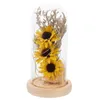 Fiori decorativi Girasole Lampada a LED Luce notturna Cupola Decorazione in vetro Decorazione Mini essiccata