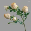 Decorative Flowers Five-headed Burnt Edge Roses Retro Imitation Home Soft Furnishings Wedding Fake Dry