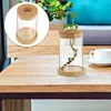 Vase 2 PCS Glass Table Eco Bottle Office Country Decorations Terrarium Vase Holder Hydroponics Container for Plant