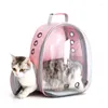 Portadores de gatos bonito confortável mochila grande espaço e mochila transparente para gatos ao ar livre ajustável respirável