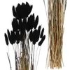 Dekoratif Çiçekler 60 PCS Çiçek Düzenlemeleri Kurutulmuş Kuyruklar Dekor Boho Ev Düğün Bitkileri Gotik Siyah