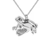 Bijoux de crémation brillant, collier d'urne de grenouille, pendentif souvenir de cendres commémoratives avec sac cadeau, entonnoir et chaîne 264S