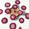 装飾的な花120pcs乾燥したプレスされた花バラエポキシ樹脂ペンダントネックレスジュエリーを作るクラフトDIYアクセサリー
