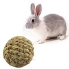 Dog Apparel Pet Chew Toy Natural Grass Ball With Bell For Hamster Guinea Pig Tooth Cleaning