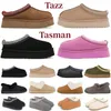 2023 Tasman Tazz Slippers Boots Chesut Fur Slides Sheepes Sheegkin Shearling Gules Women Men Ultra Mini Platform Boot Slip-on