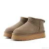 Projektant Ultra Mini Platform Buty Kobiety Tazz Tasman Suede Kapcieczki Women Australia Bot Snow Winte Wool Buty