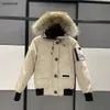 Parkas 디자이너 캐나다 남자 파일럿 다운 재킷 진짜 늑대 모피 후드 캔버스 파파 패치 지퍼 포켓 주머니 따뜻한 두꺼운 코트 디자이너 w