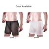 Sous-vêtements Sexy Mens Mesh Voir Trunks Beachwear Sous-vêtements Ultra-mince Taille Moyenne Boxer Shorts Lingerie Confortable Bikini Bottom Briefs