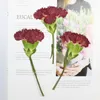 Decorative Flowers 30pcs Dried Side Pressed Red Canation Flower Stalk Plant Herbarium For Jewelry Phone Case Po Frame Bookmark Scrapbook DIY