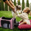 Trasportino per cani 2023 Borse portatili Trasportini in plastica approvati dalle compagnie aeree per animali domestici Borsa per prodotti da viaggio per cani