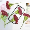 Decorative Flowers 30pcs Dried Side Pressed Red Canation Flower Stalk Plant Herbarium For Jewelry Phone Case Po Frame Bookmark Scrapbook DIY