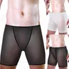 Sous-vêtements Sexy Mens Mesh Voir Trunks Beachwear Sous-vêtements Ultra-mince Taille Moyenne Boxer Shorts Lingerie Confortable Bikini Bottom Briefs