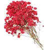 Dekoratif Çiçekler 40 PCS Bookmark kurutulmuş çiçek buket diy pervane düzenleme dekor ebedi mor