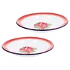 Dinnerware Sets Enamel Plates Retro Style Fruits Trays Decorative Dishes Serving Thicken Vintage